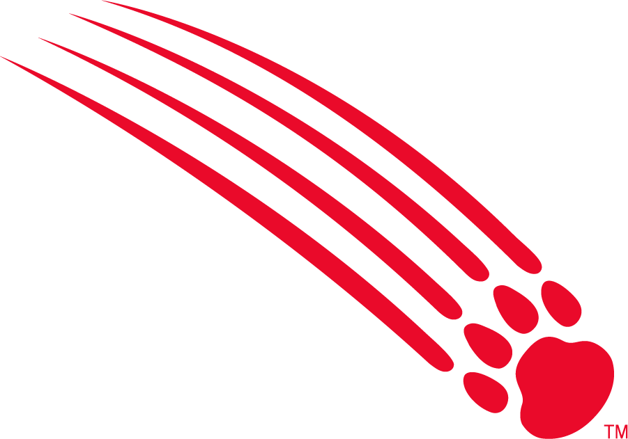 Houston Cougars 2003-2010 Secondary Logo DIY iron on transfer (heat transfer)